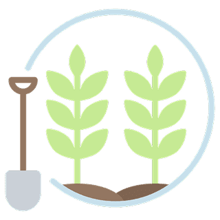 Agriculture & Plantation