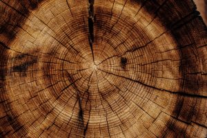 Timber